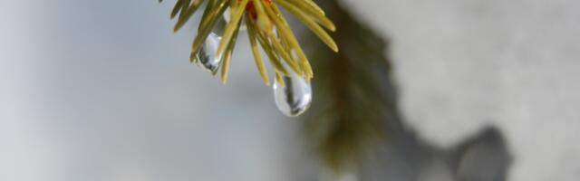 В выходные дни побито десять температурных рекордов