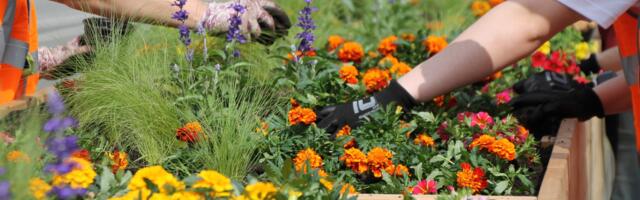 Аптекарь рассказывает о подготовке к сезону клещей