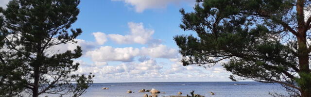 Во вторник без осадков, +8...+12