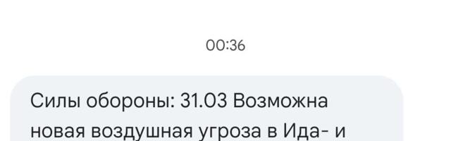 В ночь на вторник, 31 марта, Силы обороны Эстонии уведомили об угрозе дронов