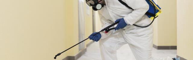 В Нарве человек плодит тараканов, соседи не знают, как спастись. Юрист объяснил, что нужно делать