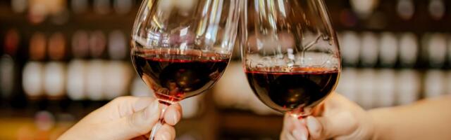 Куда идти за вином в Таллинне и Пярну: лучшие места по версии экспертов