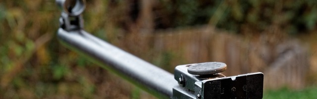  Неизвестный садист стреляет по домашним кошкам в Тапа из пневматического ружья