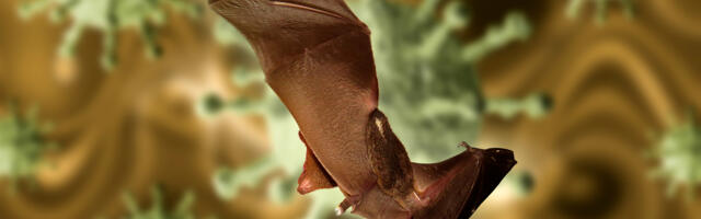 Project Veritas: Американские военные прекрасно знали о рукотворном происхождении коронавируса