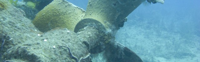 В Нарвском заливе на затонувшем немецком катере устранили утечку топлива