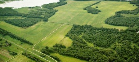 В правительство РФ поступила инициатива о выдаче дополнительных гектаров в ДФО