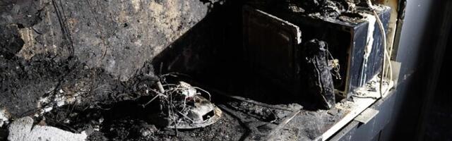 Спасатели: кот мог случайно включить конфорку с оставленным на ней аэрогрилем