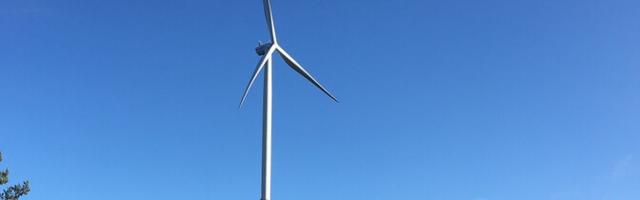 Министерство одобрило экологическую программу ветряного парка на Сааремаа