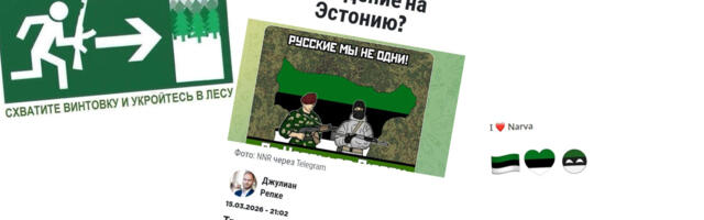 Как периферийный Telegram-канал превратился в международную историю о Нарве
