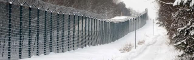 После перерыва на границе с Беларусью снова появились мигранты