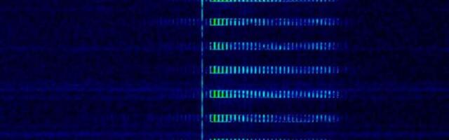 «Пекинский краснохряк» и «кремлевский пледозвон»: радиостанция «Судного дня» передала новые сообщения