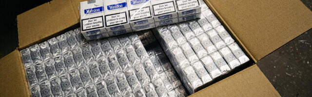 Гражданин Польши попался с миллионом контрабандных сигарет