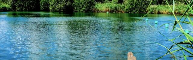 Бегом купаться! 28 мест в Эстонии, где вода уже комфортная