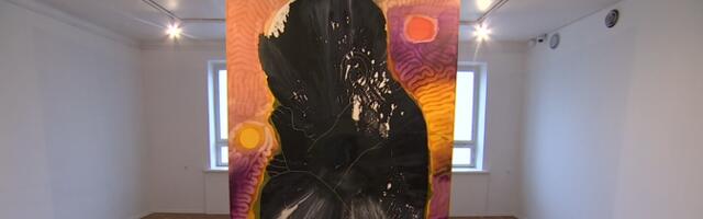 В Тарту открылась выставка Мерике Эстны "Океан"