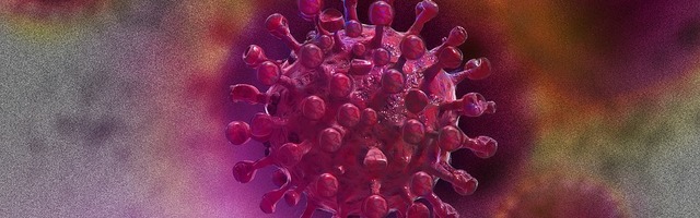 В Эстонии пока не знают, можно ли заразиться Covid-19 повторно. В Южной Корее и Китае вирус обнаруживали у выздоровевших пациентов