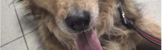 Возможно, вы тот, кого ждут