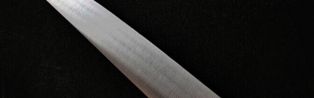 Приговор вступил в силу: напавший на бывшую спутницу с ножом иностранец получил 16 лет тюрьмы