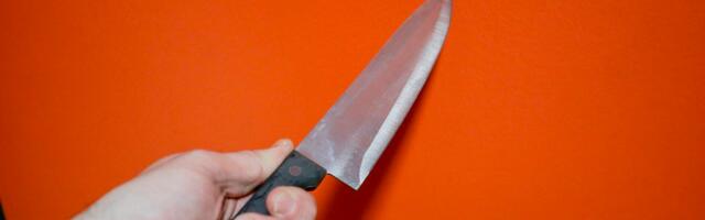 В Литве несовершеннолетний пришел в гимназию и ранил ножом двух учениц