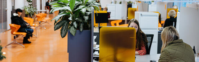 Уровень зарегистрированной безработицы в Эстонии опустился до 6,3%