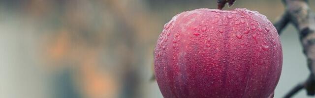 Во вторник возможны кратковременные дожди, +12...+16