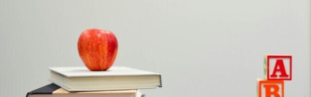 Предлагаемые искусственным интеллектом способы решения делают образование формальным