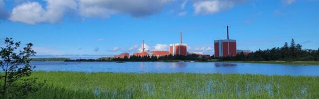 Доля безуглеродной электроэнергии в Финляндии достигла 95% в 2024 году