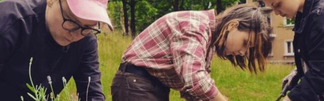 Куда пойти в Нарве на этих выходных 22 и 23 июля?