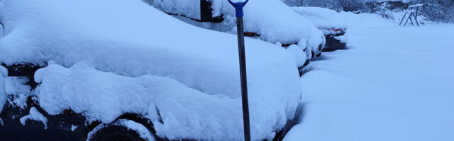 Прогноз погоды до 3 февраля: снег все-таки выпадет!