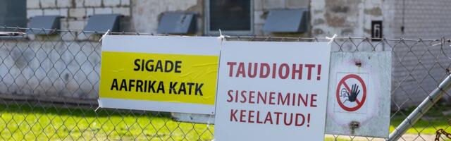 Ветеринары в эпицентре кризиса: борьба с чумой требует поддержки общества