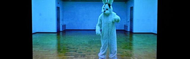 В розовом павильоне искусств в Ласнамяэ утверждают: «Есть ещё куда расти!»