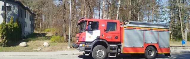 Заброшенный санаторий в Нарва-Йыэсуу вновь загорелся