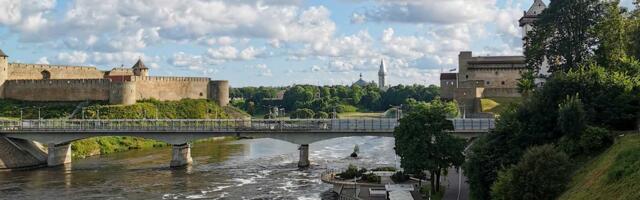 В Нарве задержали гражданина Польши, якобы собиравшегося воевать за Россию