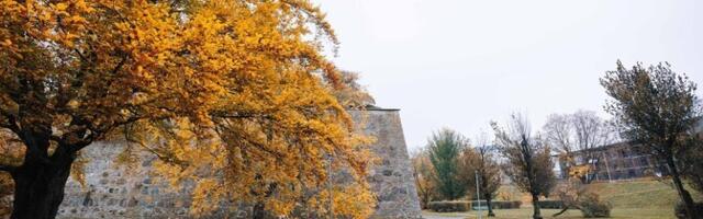 Во вторник воздух прогреется до 9 градусов