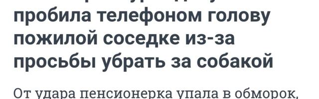 ИХ НРАВЫ: В центре Петербурга компания покалечила человека за просьбу не шуметь. Ряженые казаки-черносотенцы плясали вместе с чернокожими. В Белгороде дети убили свою бабушку мотыгой. Владелица гадившего в песочницу шпица пробила голову сделавшей замечание пенсионерке