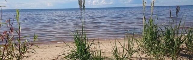 В Чудское озеро на территории России, в шести километрах от границы с Эстонией упал дрон