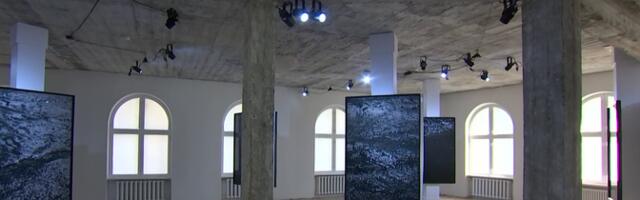 В рамках международной биеннале в Таллинне состоится 18 выставок