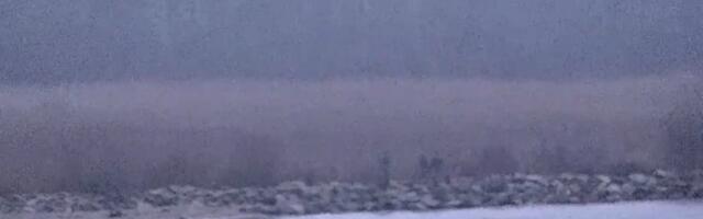 В среду российские пограничники пересекли эстонско-российскую контрольную линию в Васкнарве