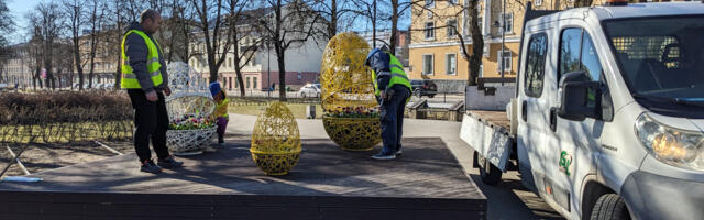В Нарве начали посадку первых весенних цветов