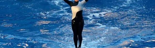 Сняла скальп и утопила на глазах зрителей: как и почему косатка Тиликум начала убивать