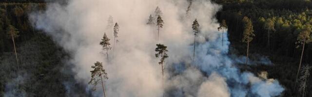 Европа коллективно борется с лесными пожарами