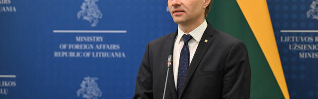 Глава МИД Литвы — Европе: если не готовы платить решимостью, придётся платить зависимостью
