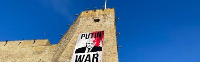 Причастных к осуждению Марии Сморжевских-Смирновой не впустят в Эстонию