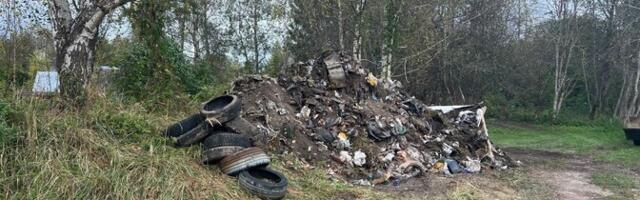 Департамент окружающей среды организует уборку мусора со стихийных свалок в трех уездах