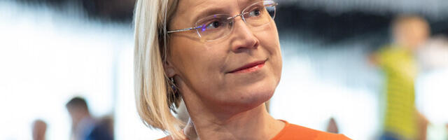 Канцлер права Юлле Мадизе: закон должен быть понятен всем