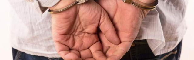 В Литве задержали группу лиц, планировавшую осуществить четыре теракта