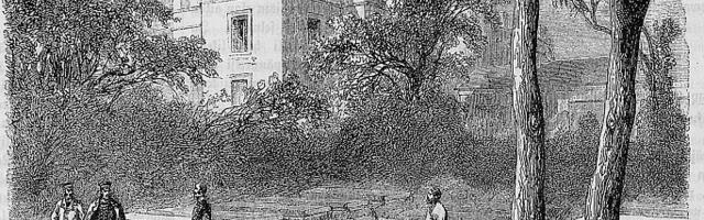 Кладбище домашних лошадей