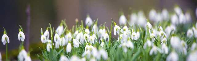 Опрос: Хорошая погода делает людей оптимистичнее