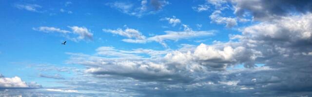 Открыт приём заявок на поддержку эстонских «зелёных» решений для Украины