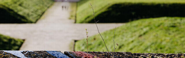 Численность граждан РФ в Эстонии за пять лет сократилась на 10%