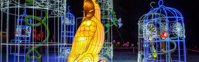 На Певческом поле пройдет красивый фестиваль фонарей «Волшебная страна света»